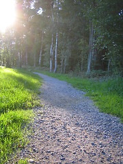 Image showing Sunny path