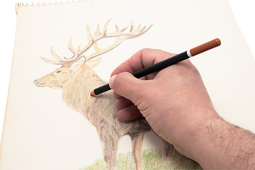 Image showing drawing deer