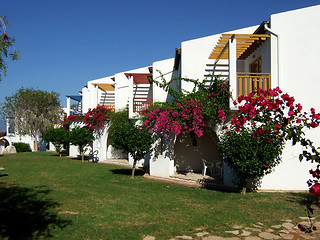 Image showing Holiday Apartments