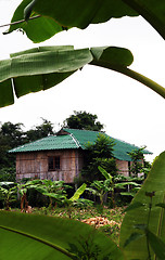 Image showing Bungalow on stilts