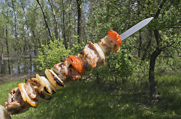 Image showing Raw shashlik on a skewer