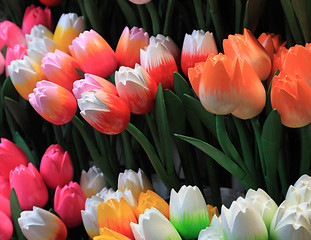 Image showing Wooden tulips