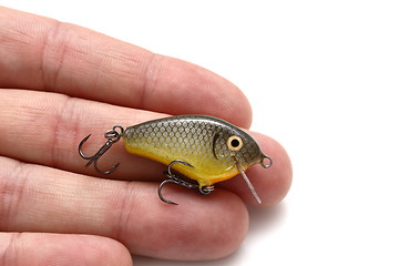 Image showing fishing lure