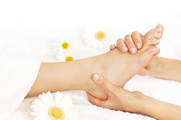 Image showing Foot massage