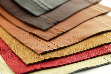 Image showing Leather upholstery samples