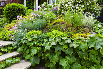 Image showing Lush garden at home