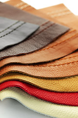 Image showing Leather upholstery samples