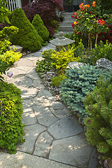 Image showing Garden path with stone landscaping