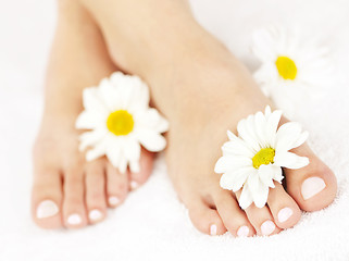 Image showing Female feet with pedicure