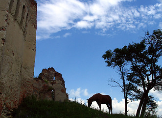Image showing Wild horse and ruins