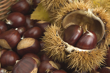 Image showing chestnuts