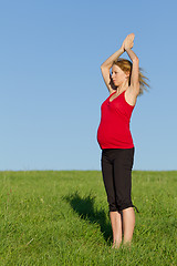 Image showing pregnant woman on meadow