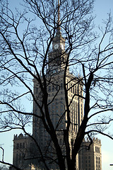 Image showing PKiN through the trees - Warsaw famous landmark
