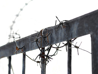 Image showing Barbed wire