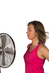 Image showing Fan