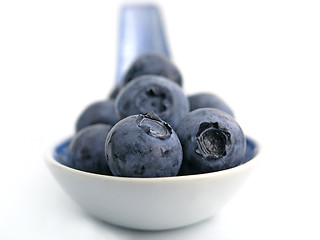 Image showing bilberry