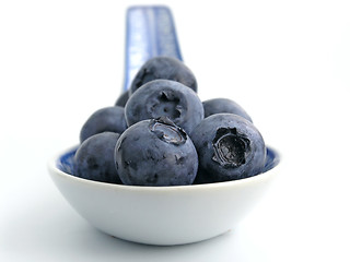 Image showing bilberry