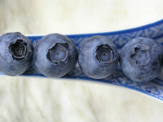 Image showing bilberry