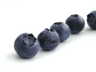 Image showing bilberry