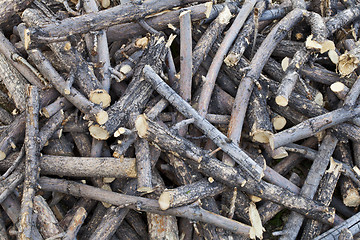 Image showing pile of sticks