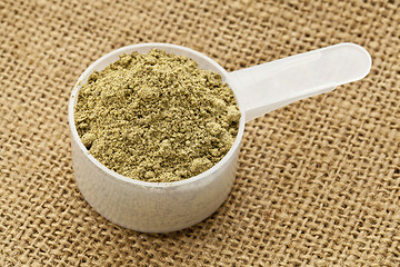 Image showing  scoop of hemp protein powder