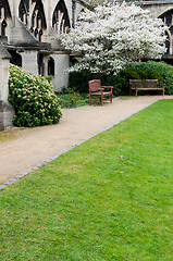 Image showing Garden in Gloucester Cathedral