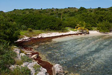 Image showing Deserted beach