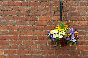 Image showing Hanging flowers pot