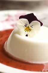 Image showing Vanilla panna cotta with berry sauce and spring flower