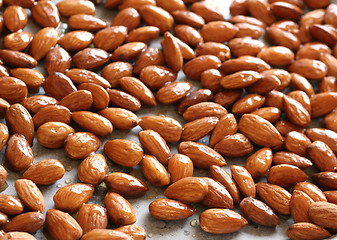 Image showing almond nuts