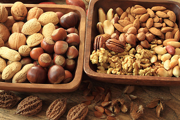 Image showing Mixed nuts