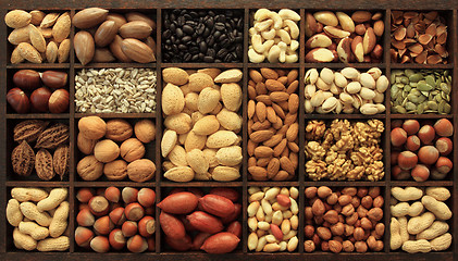 Image showing Nuts