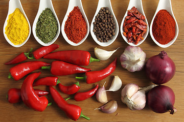 Image showing Spices composition