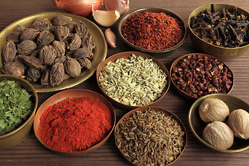 Image showing Spices