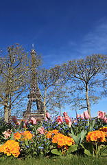 Image showing Spring in Paris