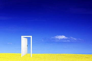 Image showing Door to new world