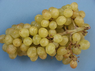 Image showing Grapes