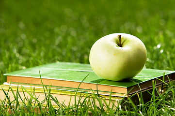 Image showing Apple on pile of books on grass