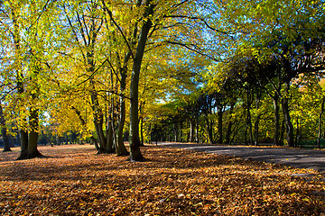 Image showing Colorful fall autumn park