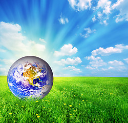 Image showing Earth globe on green grass