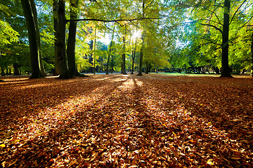 Image showing Colorful fall autumn park