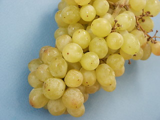 Image showing Grapes