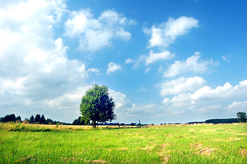 Image showing Spring landscape