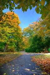 Image showing Alley with falling leaves in fall park