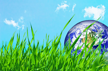 Image showing Earth globe in green grass