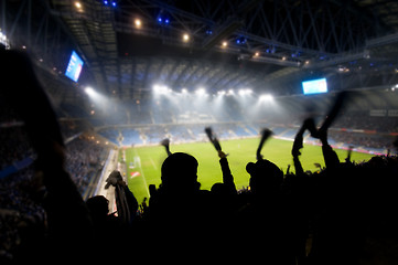 Image showing Fans celebrating goal