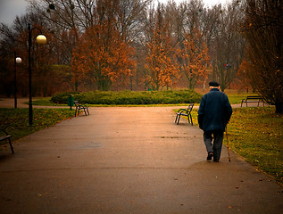 Image showing Old aged man walks in park