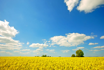 Image showing Spring landscape