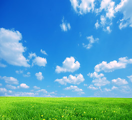 Image showing Nature background