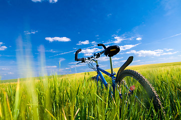 Image showing Bike on the field